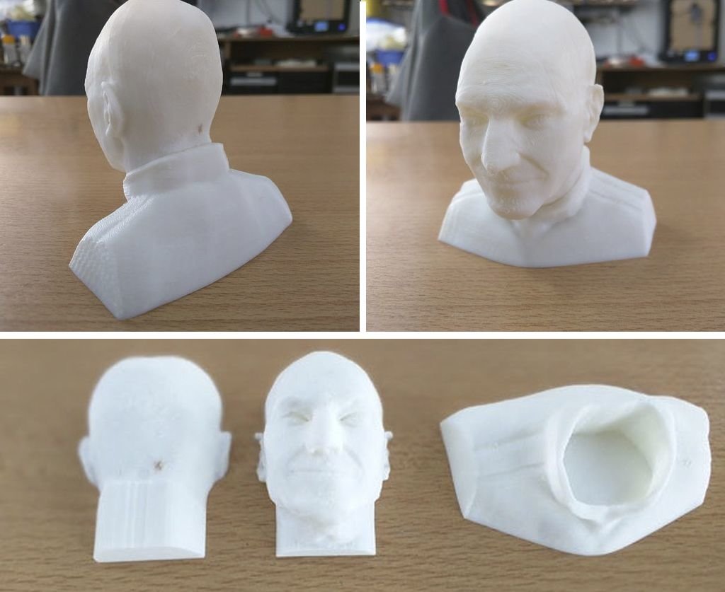 Captain Jean-Luc Picard Star Trek 3D print