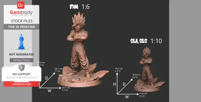 Gohan_Scales.jpg