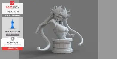 Bust Harley Quinn Pirate STL Files download by CG Pyro.JPG