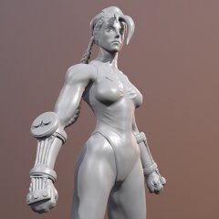 preview of Cammy 3D Printing Miniature | Assembly