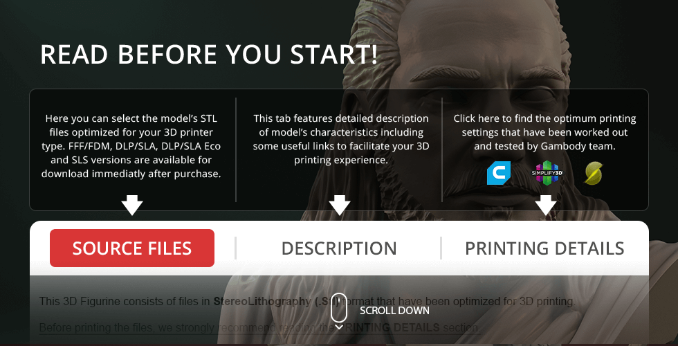 Bust of a bearded man with long hair, depicted in a 3D printing model selection interface.